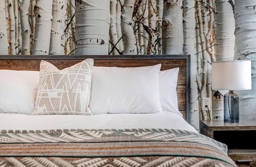 Silverthorne Hotel | Charming Room Near Silverthorne's Best Ski Slopes! Pets Allowed!