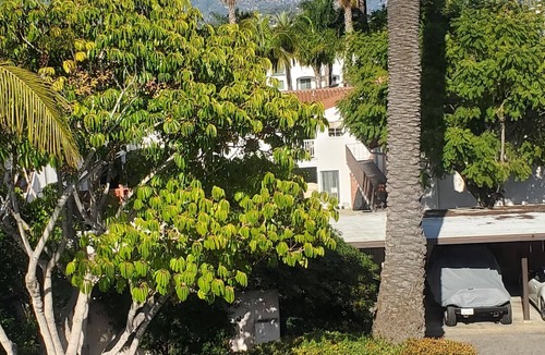 West Beach Apartment | Coastal Getaway-1 Block to Beach-City & Mountain Views