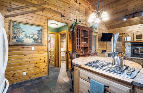 Angel Fire Cabin | Coleman Velo - Secluded Rustic Cabin