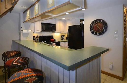 Mount Crested Butte Condo | Columbine 2304