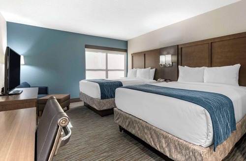 Downtown Miami Hotel | Comfort Inn & Suites Downtown Brickell - Port of Miami