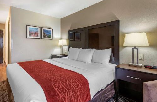 Fruita Hotel | Comfort Inn & Suites Fruita - Grand Junction