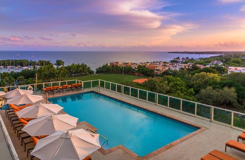 Coconut Grove Apartment | Contemporary Studio | Steps to Peacock Park