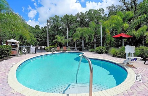 Wesley Chapel Hotel | Convenient Studio Stays Close to Museum of Science and Industry - 2 Units