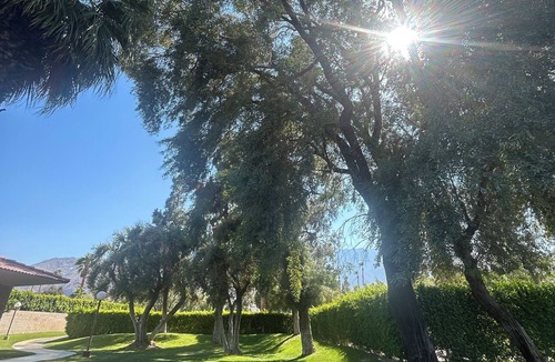 Chino Canyon Condo | Cozy 1-bedroom condo with WiFi, AC in charming Palm Springs, pool view