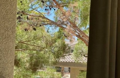 Rhodes Ranch Condo | Cozy 2-bedroom condo with AC in tranquil Las Vegas
