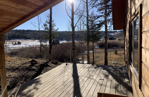 Creede Cabin | Cozy Cabin in the national forest