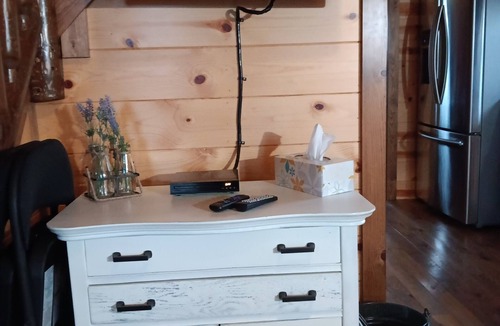 Ashtabula Cabin | Cozy cabin with views of Lake Erie and colorful sunsets!