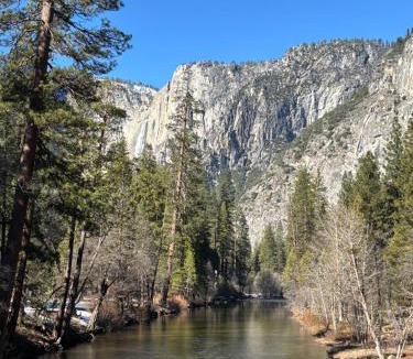 Mariposa House | Cozy Cub Cabin, brand new home near Yosemite