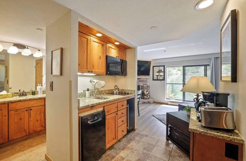 Peak 9 Condo | Cozy King Studio, Ski In, Ski Out, Dog Friendly