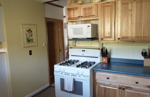 Nederland Cabin | Cozy & Quiet 1BD Cabin in Nederland ~ Walk to Downtown