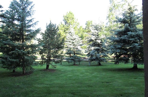 East Village at Copper Condo | Cozy studio on Copper Moutain only 100 yards to the Super Bee. Pet Friendly!