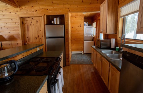 Pitkin County Cabin | Creekside Log Cabin with Soaring Great Room at Dreamy Art & Nature Retreat