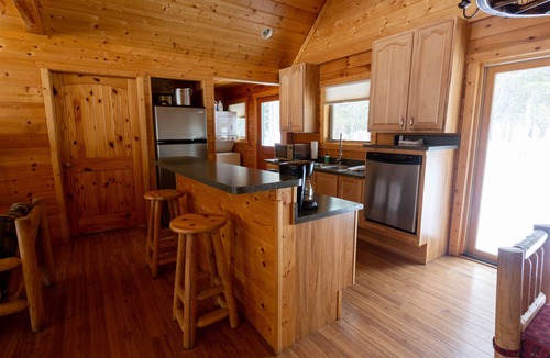 Pitkin County Cabin | Creekside Log Cabin with Soaring Great Room at Dreamy Art & Nature Retreat