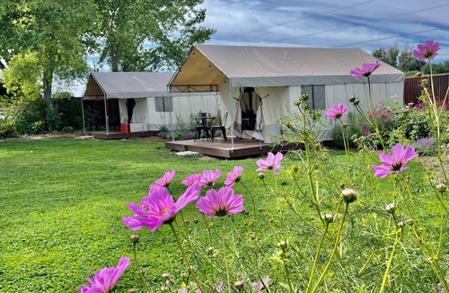 Lazear Cabin | Daisy Glamping Tent with WiFi in charming Paonia- 2 XL DBL beds