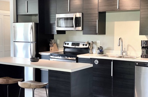 Mount Crested Butte Condo | Designer Condo #5, Epic Views, Hot Tub, 75" & 55" TVs, Sonos, Free Winter Bus