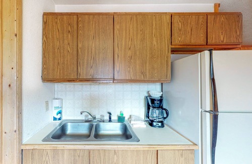 South Fork Cabin | Dog-friendly cabin with WiFi, private yard, & Fireplace - ideal for hiking & skiing