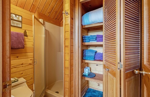 Pagosa Springs Cabin | Dog friendly log cabin with mountain views and hot tub