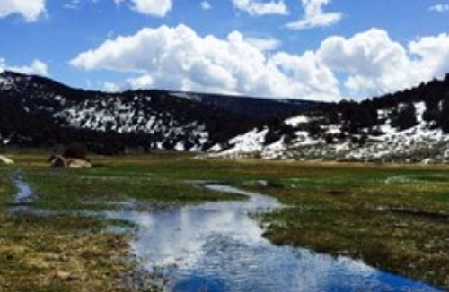 Sevier House | Elk Country