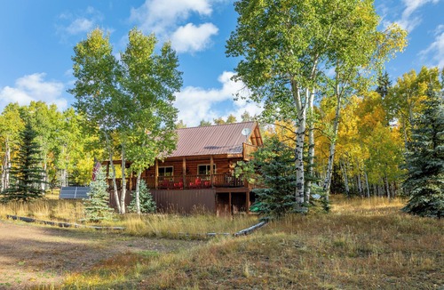 Jasper Cabin | Escape the Alamosa Sand Dunes in Jasper, Colorado!