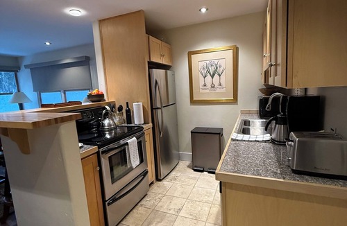 Telluride Condo | Extra Large Cozy 1 BR, chairlift just outside, ski in, fireplace, hardwood floor