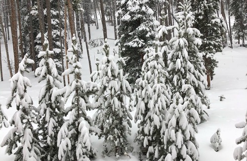 Winter Park Condo | Family friendly Winter Park Condo on free bus route. Perfect for ski vacation!