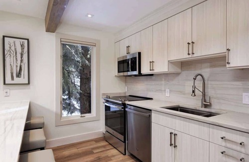 Aspen Condo | Fully Renovated Aspen Core 2/2 w A/C on River!