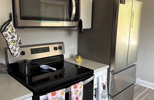 Parma House | Game On Parma with WiFi, AC and Game Room Family and Pet Friendly