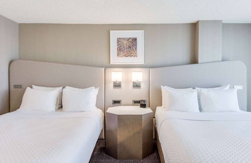 Downtown Denver Hotel | Get Ready for a Blissful Getaway! Near Museum of Contemporary Art