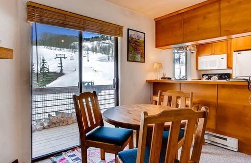 Mount Crested Butte Condo | Gorgeous Ski-in/Ski-out Condo | Hot Tub Access!
