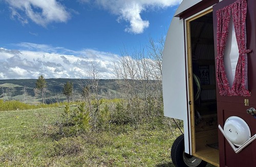 Casper Mountain House | Hand-Crafted Sheep Wagon ~ Luxuriously Rustic ~ Private Meadow Site
