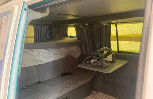 Almont Other | Heyward Camper Host