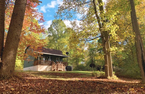 Kimbolton Cabin | Hidden Cabin with covered porch & fire pit! Minutes to Salt Fork.