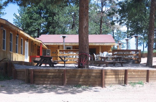 Woodland Park Cabin | Horses and Walking Trails Right Outside Your Door!