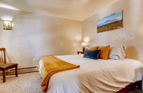 Park Forest Estates Apartment | Hot Tub & Sauna PEAK 8 BRECKENRIDGE