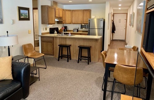 Telluride Condo | Ideal location, 1 Block to Ski Area, Gondola, 2 to Main St