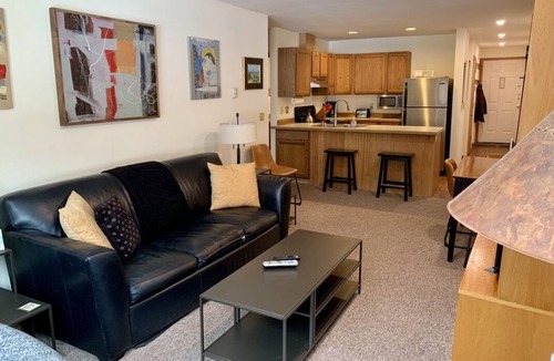 Telluride Condo | Ideal location, 1 Block to Ski Area, Gondola, 2 to Main St