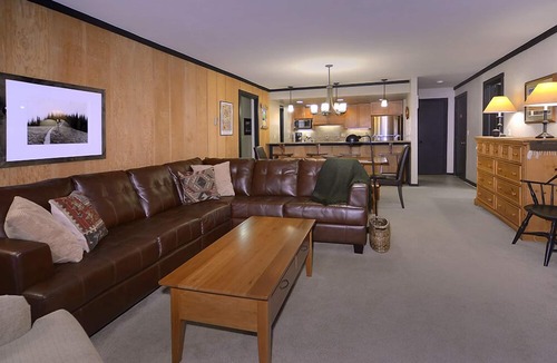 Mount Crested Butte Condo | Ideal Mountain Condo! Ski-In/Ski-Out, Slopeside with Beautiful Views