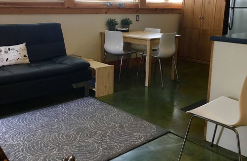 Carbondale Apartment | In Town Convenience, Cool Carbondale Crib