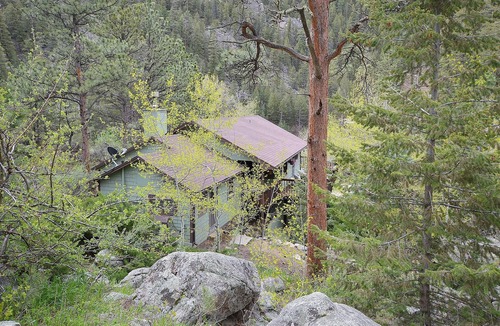 Drake Cabin | Jay's Dream - 2 bedroom cabin - near Big Thomspon River Pet Friendly