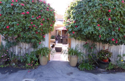 Laguna Beach House | Laguna Beach Gem with Amazing View