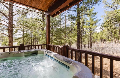 Pagosa Springs House | Lakeview Cabin in Pagosa Springs CO