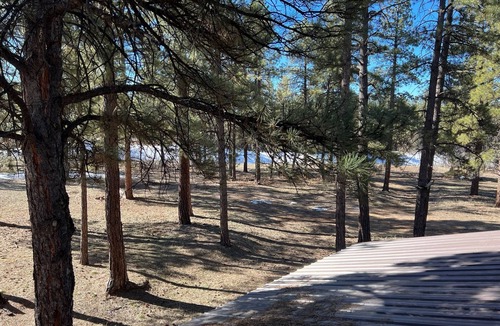 Mancos Apartment | Lovely loft apartment in beautiful Mancos!