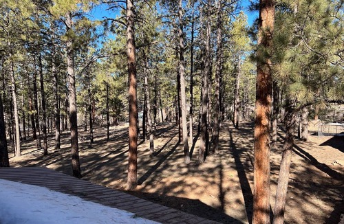 Mancos Apartment | Lovely loft apartment in beautiful Mancos!