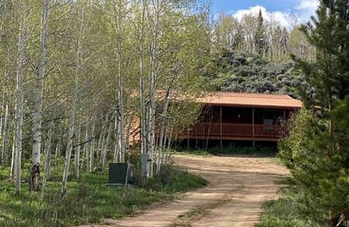 Walden Cabin | Luxury Mountain Getaway near Routt National Forest in Colorado