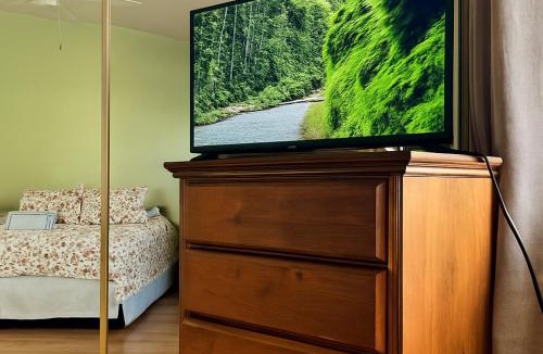 Hemet House | Meadow Harvest Suite with TV and private bathroom