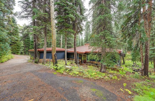Downieville-Lawson-Dumont Cabin | Mid-Century Cabin: Creekside, Easy Access to i-70