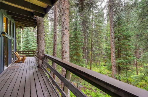 Downieville-Lawson-Dumont Cabin | Mid-Century Cabin: Creekside, Easy Access to i-70