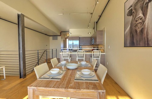 Dolores Lofts Condo | Modern Industrial Condo w/Spectacular Sopris Views