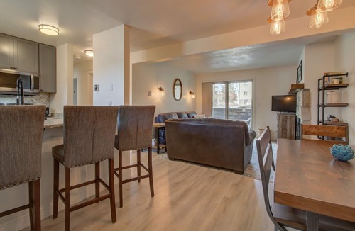 Steamboat Springs Condo | Modern Mt Getaway | 1BR Condo at Shadow Run!